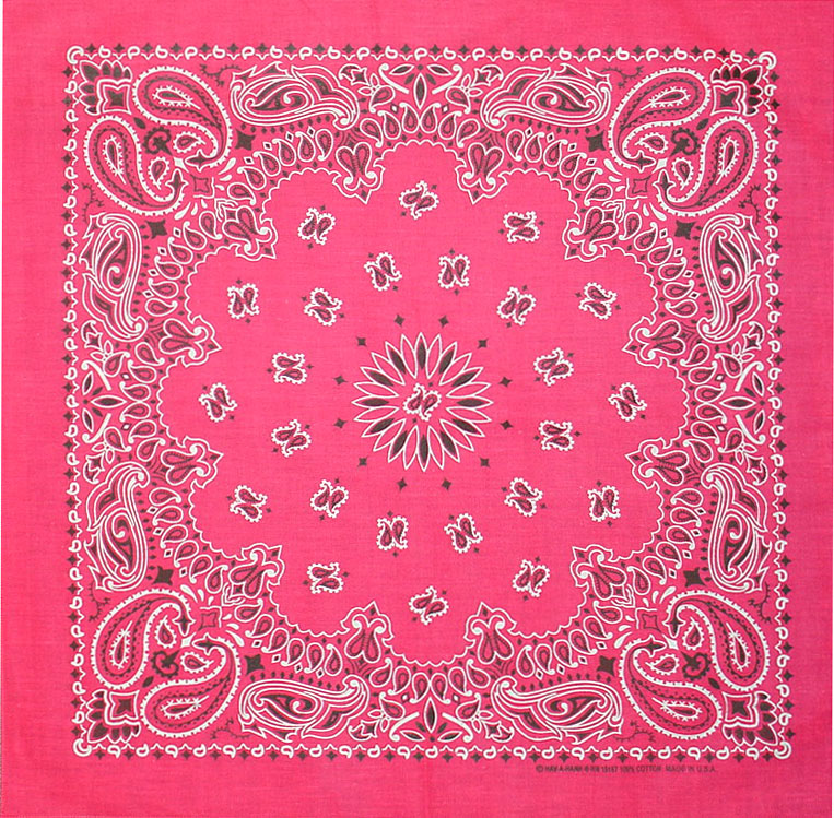 (image for) Bandanna Hot Pink Paisley 22" x 22"